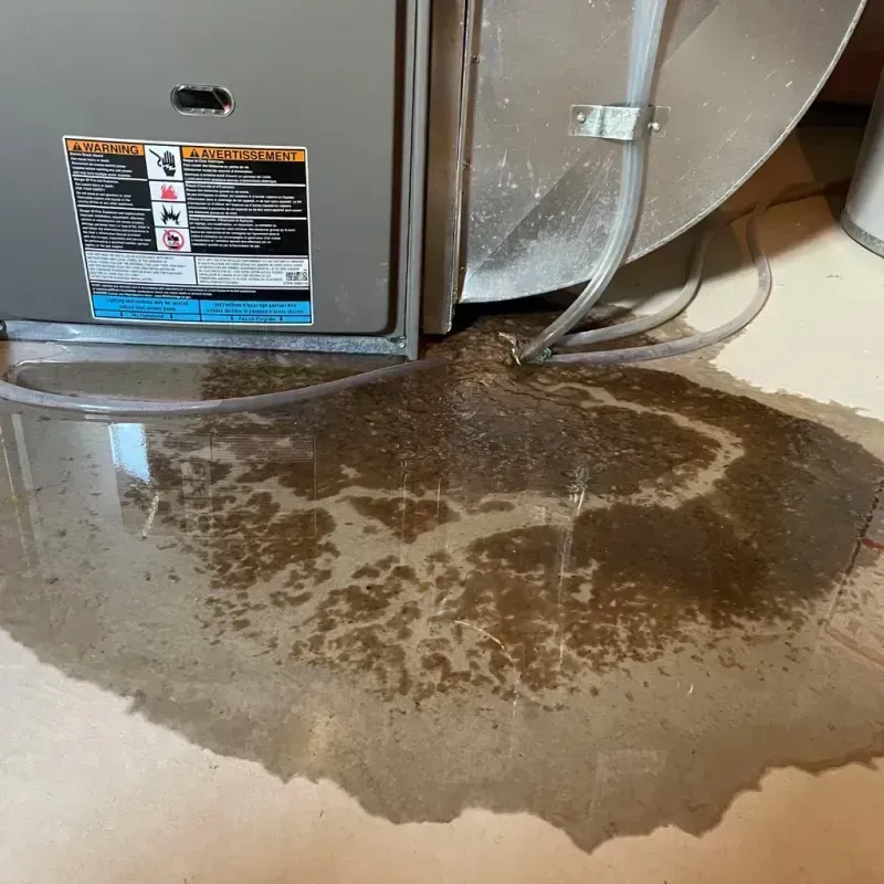 Appliance Leak Cleanup in Magna, UT